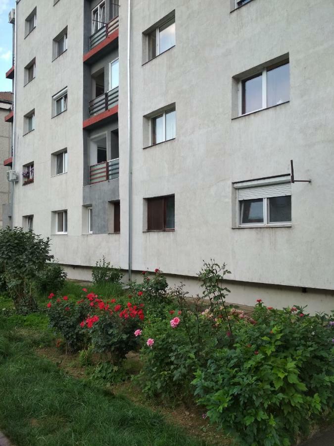 Ferienwohnung Alesia Oradea Exterior foto